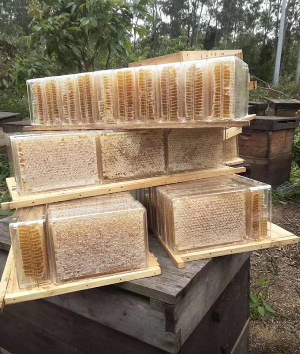 where to buy honeycomb